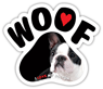 Boston Terrier thumbnail