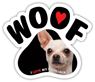 Chihuahua  thumbnail
