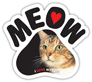 Cat thumbnail