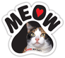 Calico Cat thumbnail