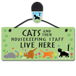 Cats & Housekeeping Staff thumbnail