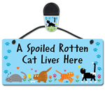 Spoiled Rotten Cat thumbnail