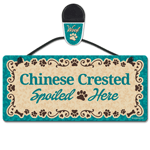 Chinese Crested thumbnail
