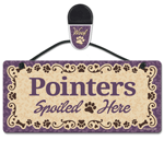 Pointers thumbnail