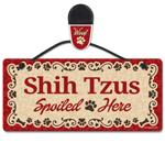 Shih Tzus thumbnail