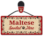 Maltese thumbnail