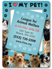 Dogs and Cats thumbnail