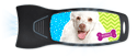 Poodle thumbnail