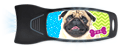 Pug  thumbnail