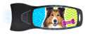 Sheltie thumbnail