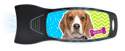 Beagle thumbnail