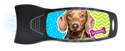 Dachshund thumbnail