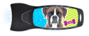 Boxer thumbnail