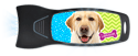 Labrador (yellow) thumbnail