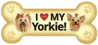 Yorkie thumbnail