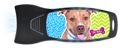 Pit Bull thumbnail