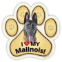 Belgian Malinois thumbnail