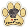 Cane Corso thumbnail