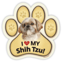 Shih Tzu thumbnail