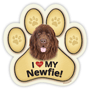 Newfie thumbnail