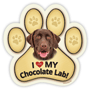 Lab (chocolate) thumbnail