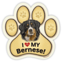 Bernese thumbnail