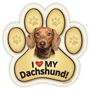 Dachshund (longhair) thumbnail