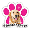 Golden #bestdogever thumbnail