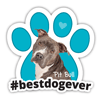 Pit Bull #bestdogever thumbnail