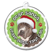 Santa Pit Bull thumbnail