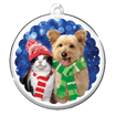 Winter Pets thumbnail