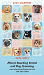 Pets Rule thumbnail